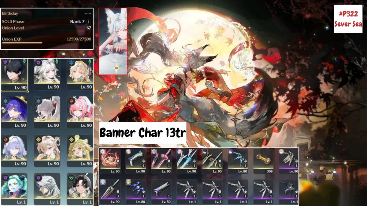 Vip Top Meta, Hsin Full Form, Hiyuki Full Form, Aemeath Full Form